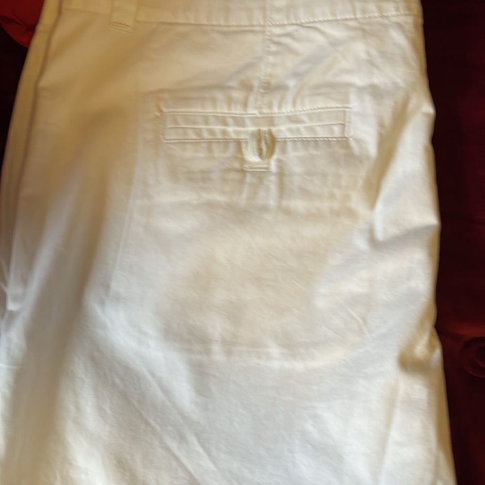 Vineyard Vines Shorts NWT - Picture 4 of 7